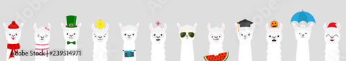 Alpaca llama set. Cute funny cartoon lama character. All seasons. Happy Valentines Christmas St Patrick day Easter Egg Bird Chicken Umbrella Santa hat, sun Flat design Gray background