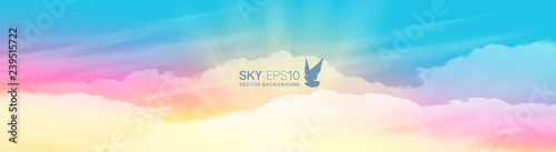 Narrow horizontal vector banner with realistic pink-blue sky and cumulus clouds. The image can be used to design a flyer and postcard.