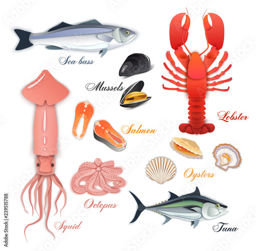 seafood page design with mussel  fish salmon  shrimp. Lobster  squid  octopus  scallop  lobster  craps  mollusk or oyster  alfonsino and tuna for product market