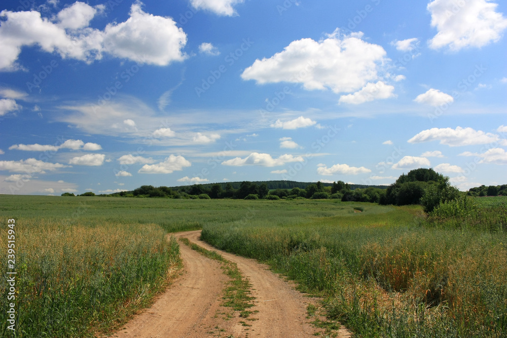 Deserted country road in a field
