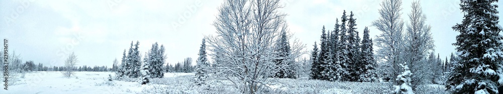 Panorama view of Beautiful winter landscape in the in the winter season at Lovozero, north of Russia. Panorama view of Beautiful winter landscape in the in the winter season at Lovozero, north of Russia.