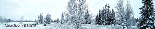 Panorama view of Beautiful winter landscape in the in the winter season at Lovozero, north of Russia.