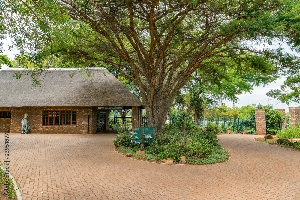 Fototapeta premium National Botanical garden in Pretoria, South Africa. Plants from all over Southern Africa can be seen in this well maintained nature spot.