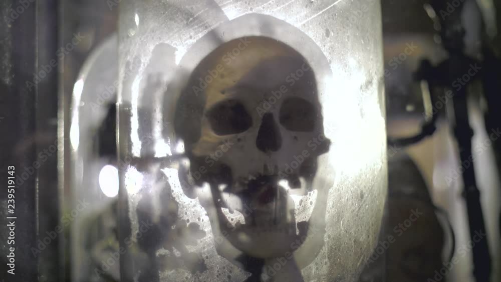 Dusty real humans skull in the dark. Horror place, death and fear concept in 4k. Dusty real humans skull in the dark. Horror place, death and fear concept in 4k.