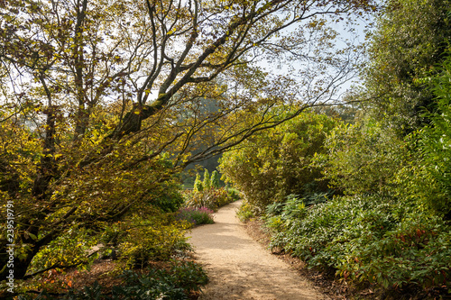 Garden path at Dyrham Park