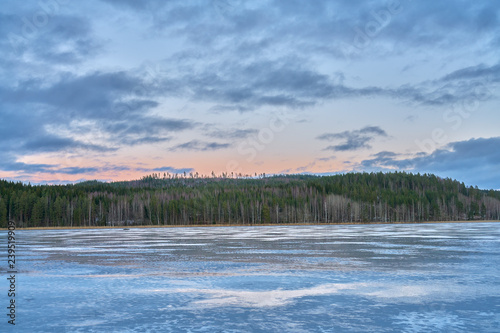 Clear ice on a lake with forest background