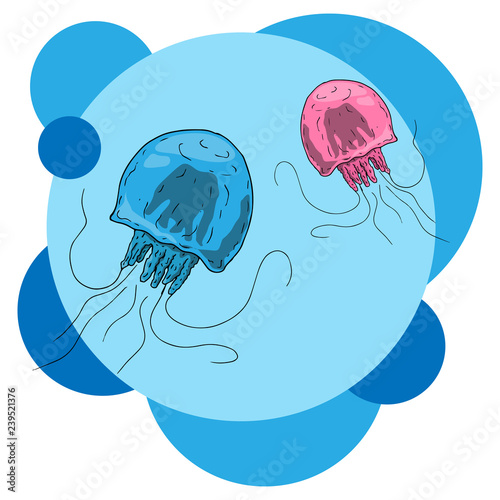 Set jellyfish icon. Vector illustration of cartoon jellyfish. Hand drawn jellyfish.