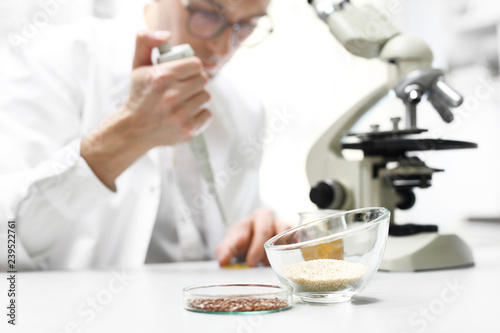 Inżynieria genetyczna roślin, badanie laboratoryjne. Laborant w pracowni laboratorium naukowego analizuje pod mikroskopem.