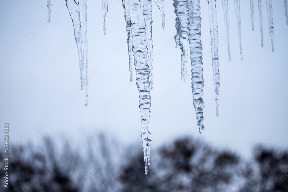 Icicles Icicles