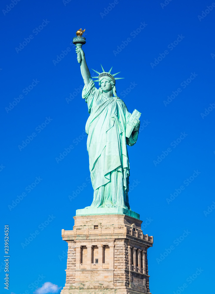 Obraz premium Statua Wolności w Nowym Jorku