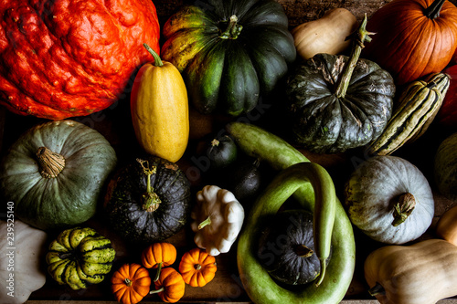 High angle close up of a selection of pumpkins and squash. photo