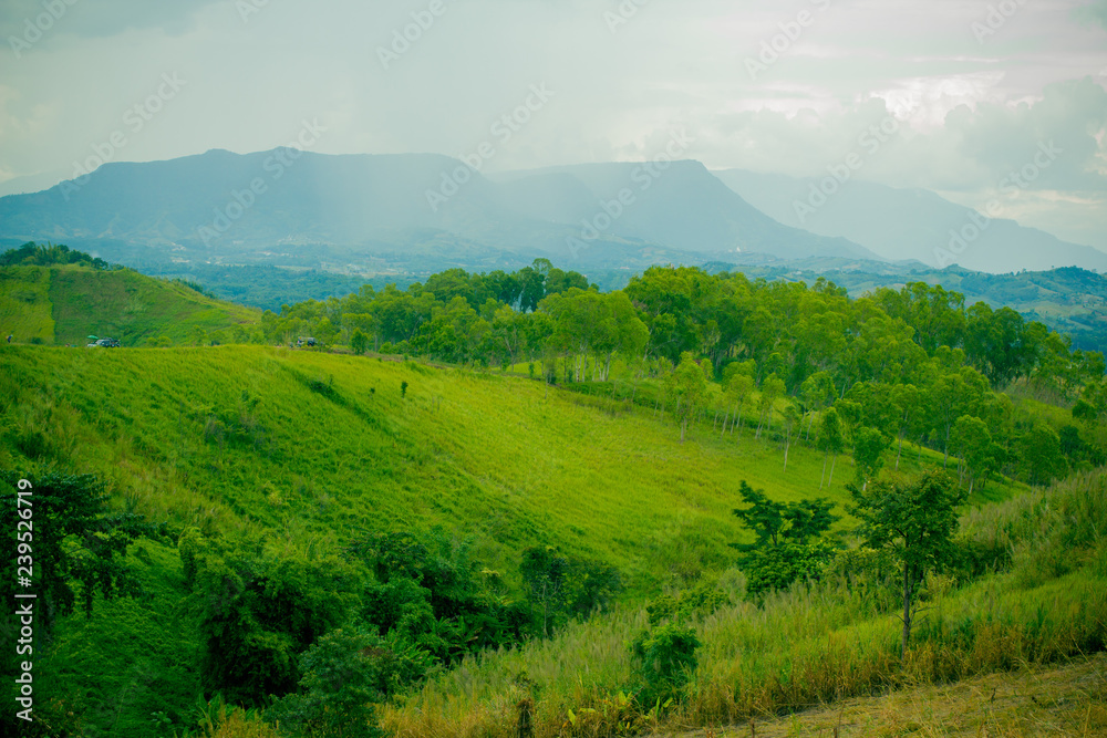 Naklejka premium Panorama landscape of green mountain