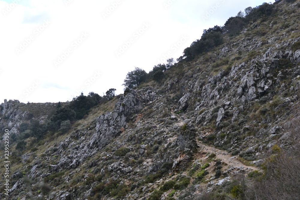 Hiking on mountains in Sierra de Grazalema Natural Park, province of Cadiz, Andalusia, Spain, towards Benamahoma