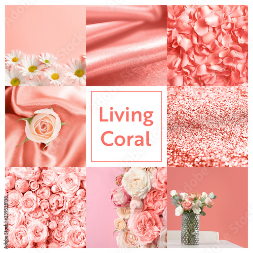 Beautiful collage with living coral color. Stylish design