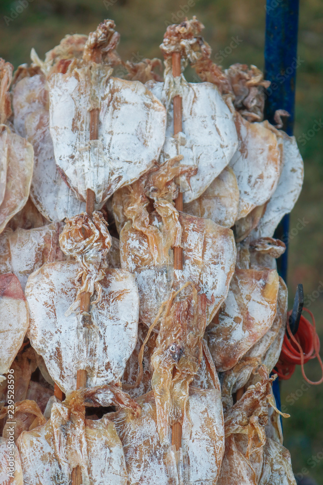 fresh fish in the market,seafood fresh fish in the market,seafood