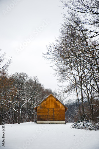 Winter time © martynanysk