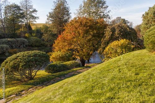 Park with green lawn, trees and trimmed bushes.