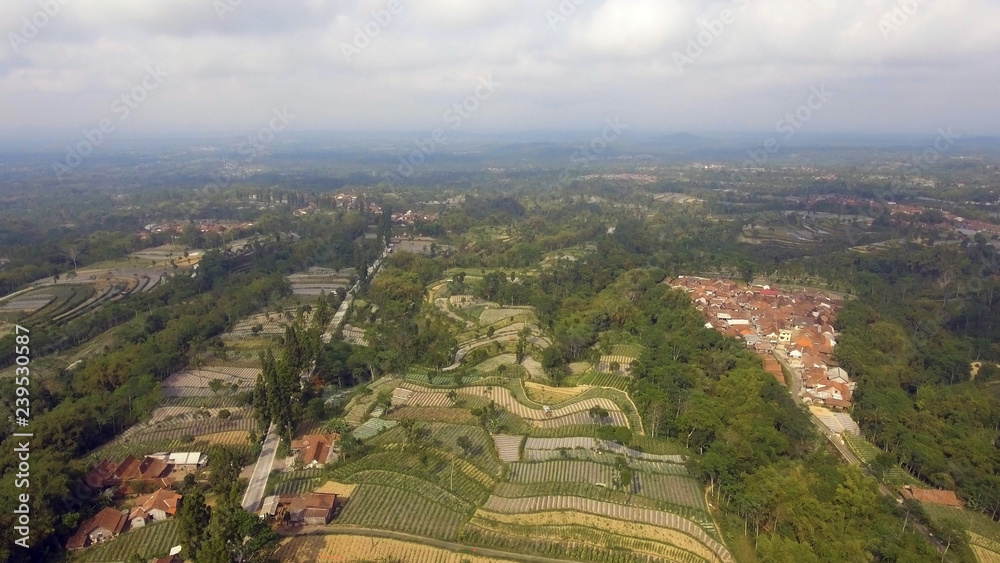 agricultural land in mountains rice terraces, fields with crops, trees. Aerial view farmlands on mountainside Java, Indonesia. tropical landscape