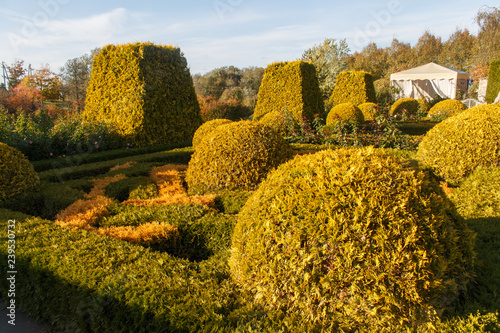 Cottage garden with topiary and trimmed bushes.
