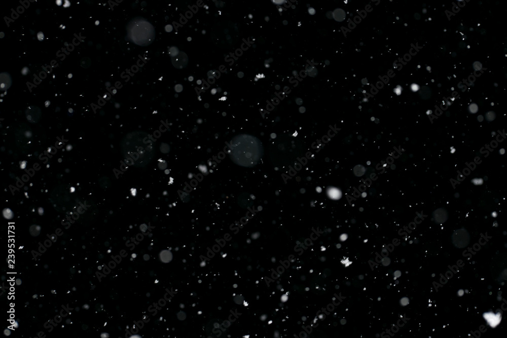 snowflakes on black background