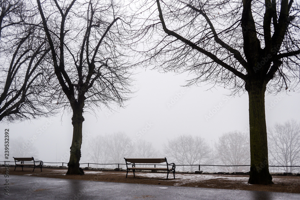 Black and white photo of benches in a park in the fog.