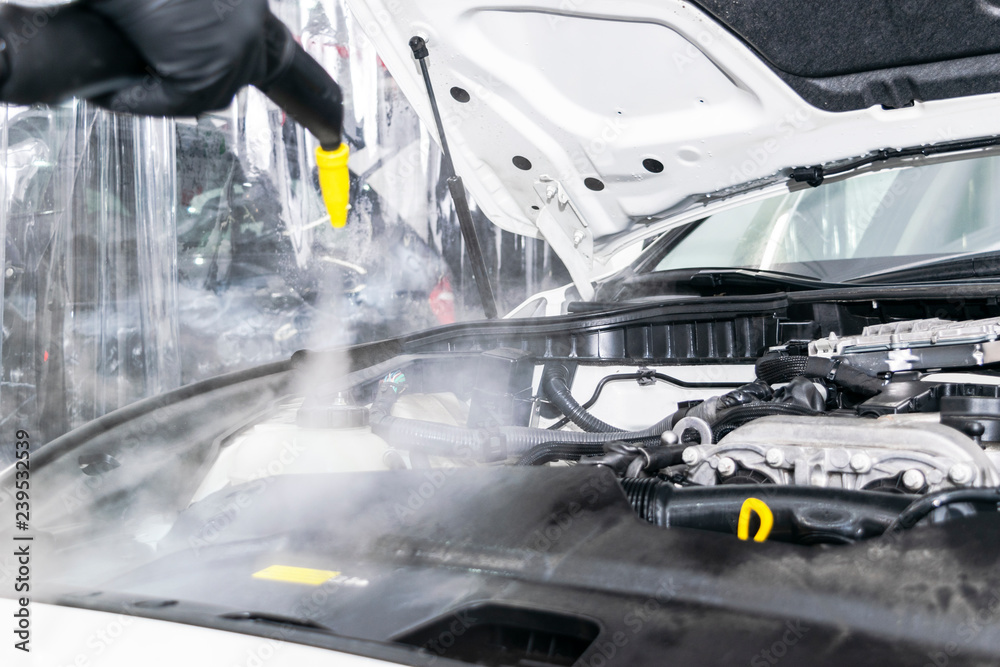 Car detailing. Car washing cleaning engine. Cleaning car engine using