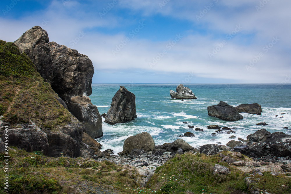 View of the Pacific Ocean at Patrick's Point State Park near Trinidad, California