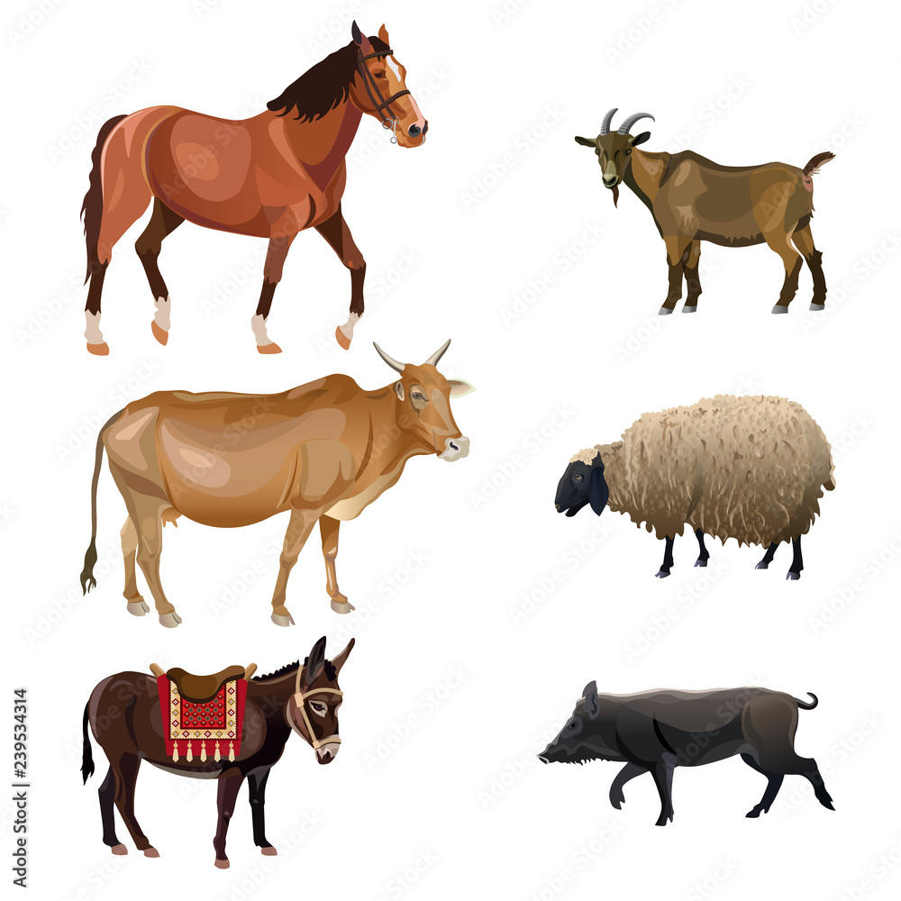Set of farm animals