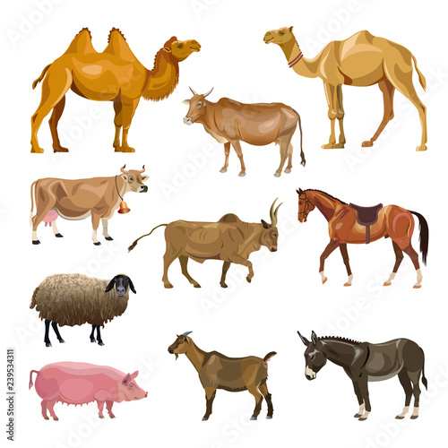 Set of farm animals