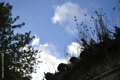 Hiking in Sierra de Grazalema Natural Park, province of Cadiz, Andalusia, Spain, towards Benamahoma