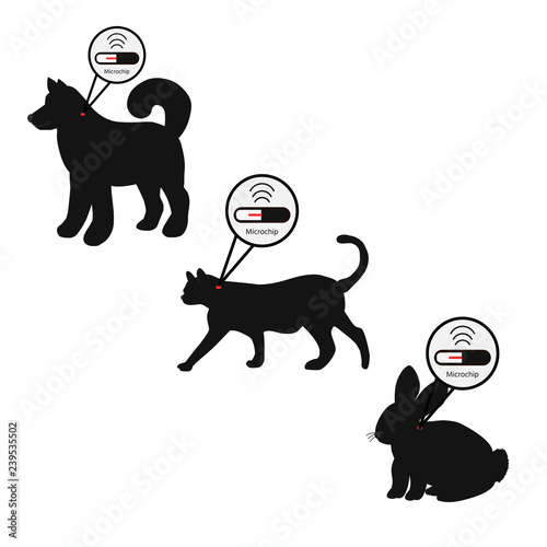 Pet services - microchipping. Icon dog, cat and rabbit with microchip pill inside the body and information about owner tagged with a microchip implant.