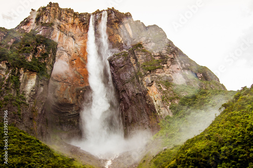 view from below forest of angel falls in venezuela in canaima park, giving a sense of discovery and awe photo