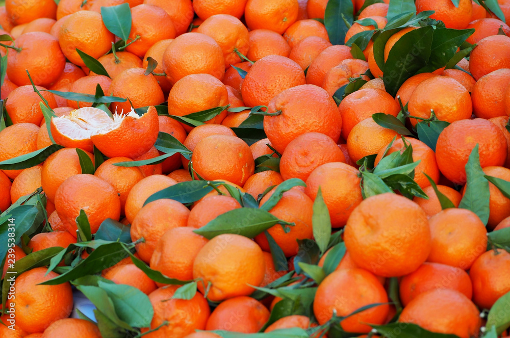 Heap of  clementines, a hybrid between mandarin and sweet orange,just picked. Food background.