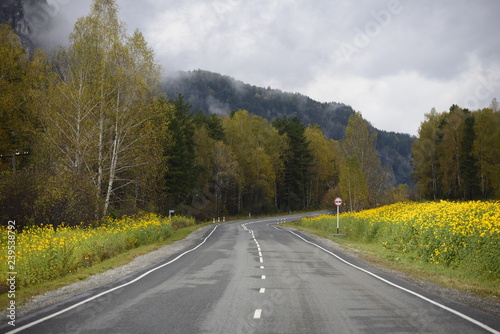 Alpine road