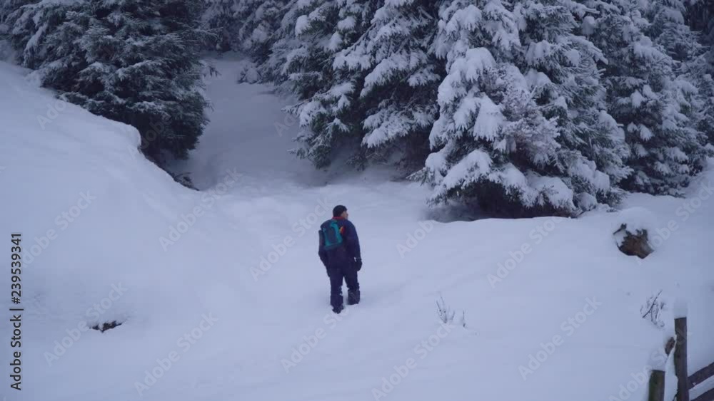 A young man walks alone through a snowy forest. Young pretty tourist sneaks through the snow drifts. He looks around him. Snowfall. Evening forest. A young man walks alone through a snowy forest. Young pretty tourist sneaks through the snow drifts. He looks around him. Snowfall. Evening forest.