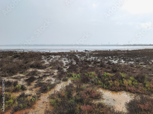 Kuyalnik estuary landscape