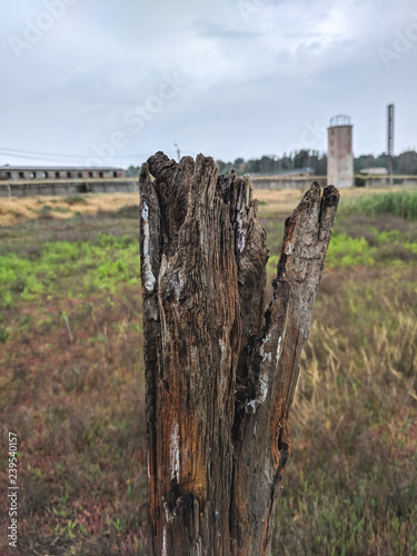 Kuyalnik estuary landscape