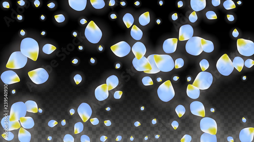 Vector Realistic Blue Petals Falling on Transparent Background.  Spring Romantic Flowers Illustration. Flying Petals. Sakura Spa Design. Blossom Confetti.