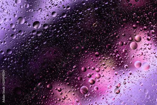water drops on glass with purple and pink background  close-up 