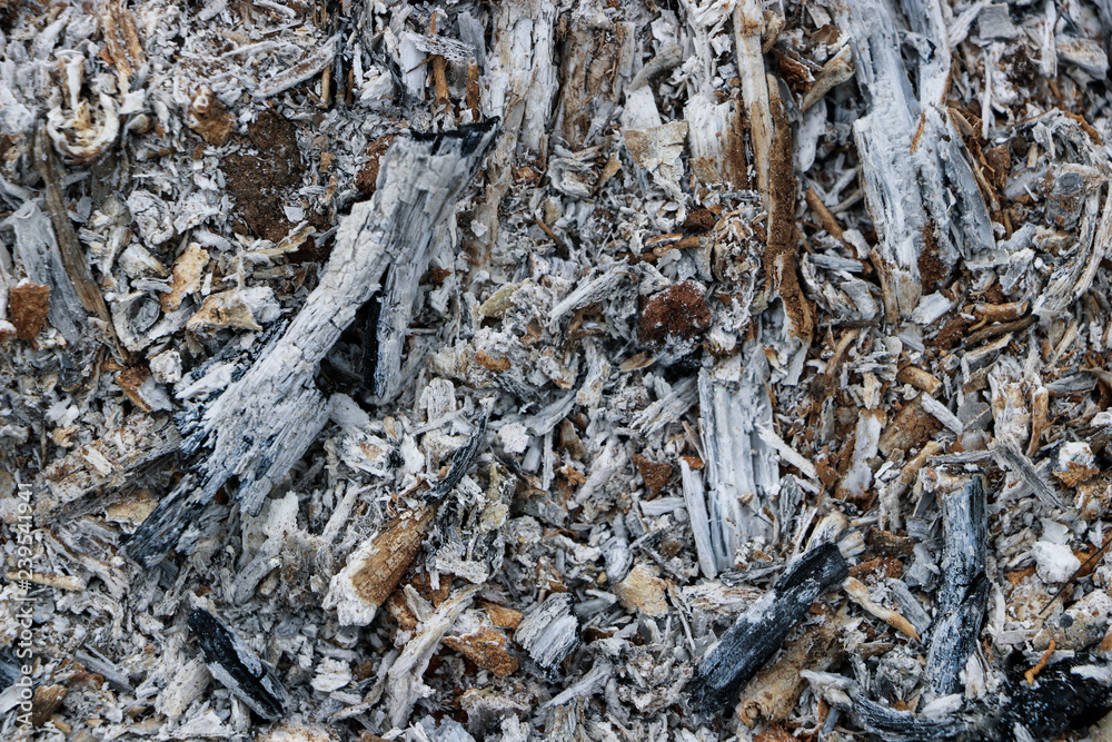 Ash texture from the fire. Ash texture from the fire.
