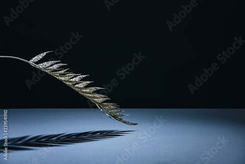 festive branch decorated by golden glitter and shadow on black