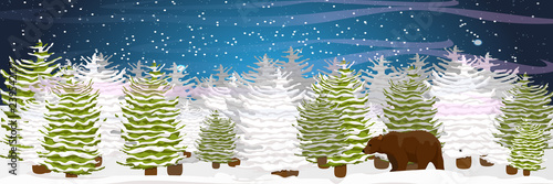 Brown bear is walking in the snow-covered spruce forest. Starlight Night. Wild animals of Eurasia and America. Realistic Vector Landscape