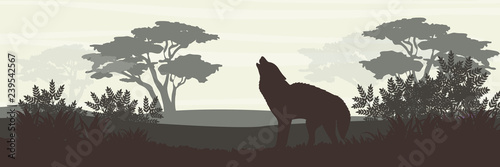 Silhouette. A wolf howls in a deciduous forest. Wildlife of Europe, USA and Canada. Realistic Vector Landscape