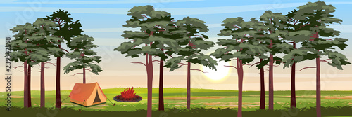 Tent for tourism in the pine forest. Bonfire in the meadow. Camping and eco-friendly recreation. Realistic Vector Landscape