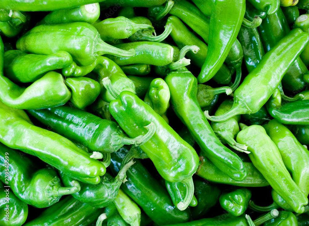 green peppers or Padr˜n Pepper, sweet, at local farmer market of vegetables, used as a spice or grilled, agriculture, cultivation, food, texture, vitamins, nourishment, nutrition, Milan, Italy green peppers or Padr˜n Pepper, sweet, at local farmer market of vegetables, used as a spice or grilled, agriculture, cultivation, food, texture, vitamins, nourishment, nutrition, Milan, Italy