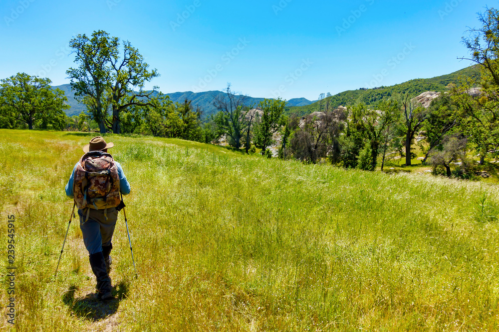 Hiker Hiking in Field Hiker Hiking in Field