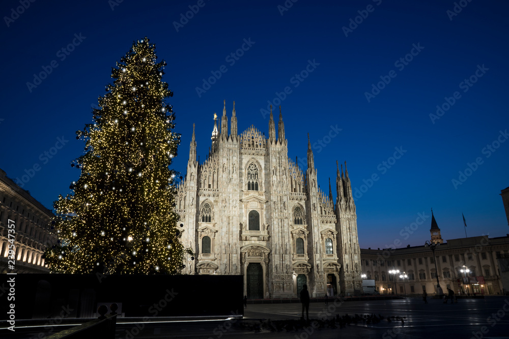 Milan (Italy) in winter: Christmas tree in front of Milan cathedral, Duomo square in december, night view.