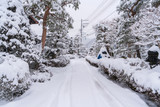 Snow falling in winter at Gifu Chubu Japan