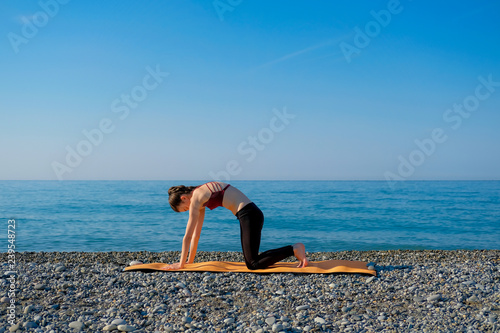 Young slim woman in tight sportswear doing cat pose on orange yoga mat outdoors at pebble beach by the sea. Yoga at nature concept photo