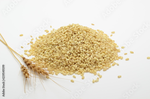 Wheat pile or heap isolated on white background with golden ears